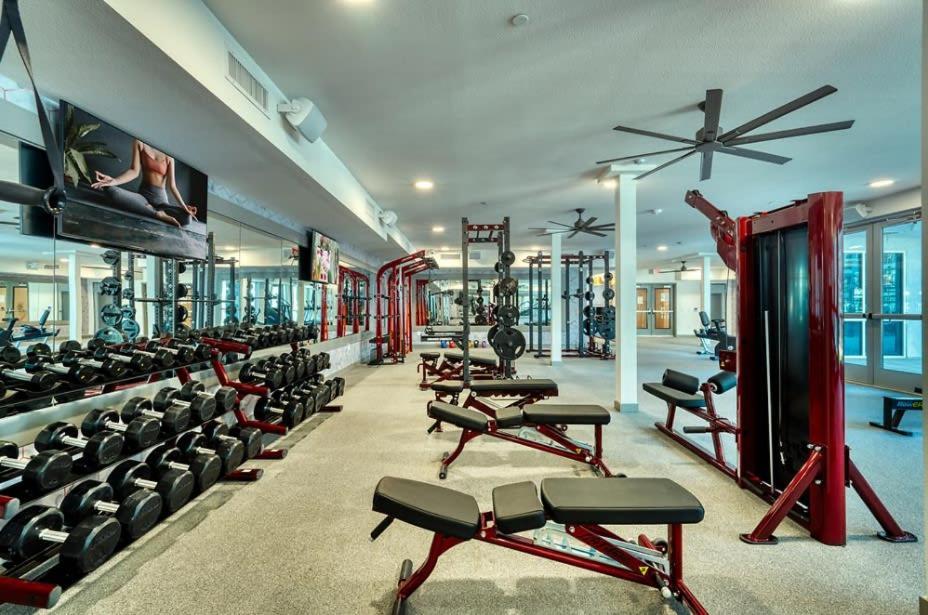 Cozysuites Phx Roro Gym, Pool, Pets, Parking! #9 Phoenix Eksteriør bilde